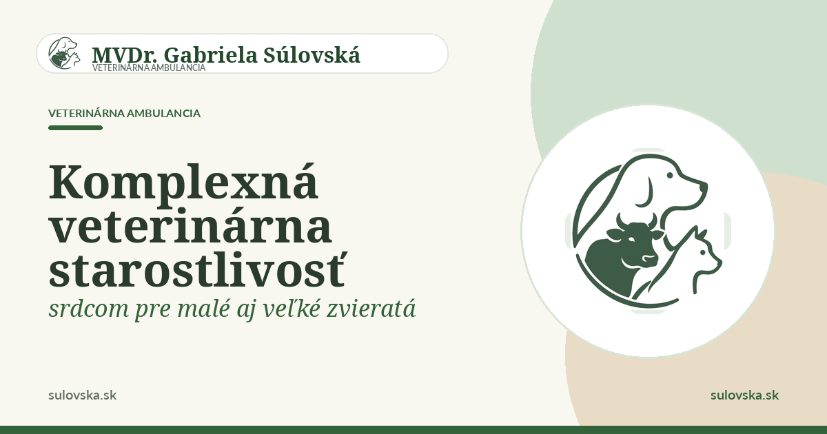Website preview sulovska.sk
